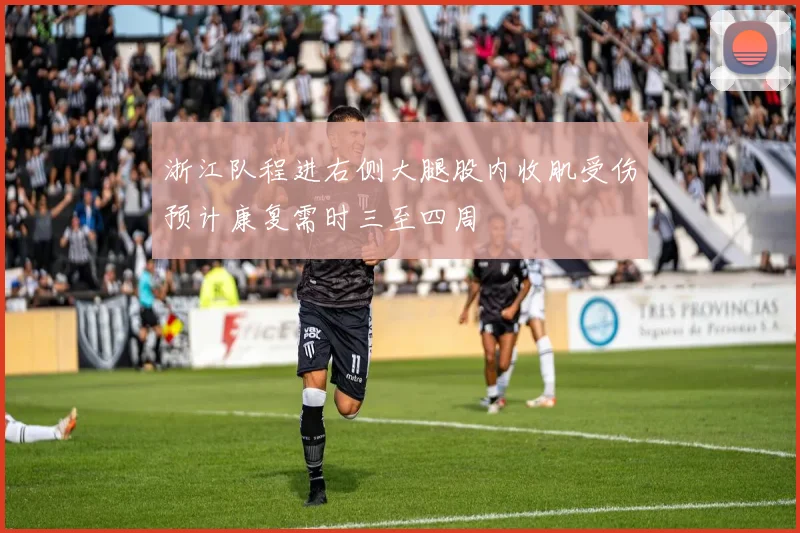 浙江队程进右侧大腿股内收肌受伤预计康复需时三至四周